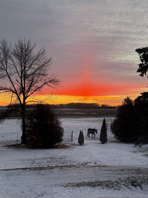 3234 Se 14th Ave, Owatonna, MN, 55060-6561 | Card Image