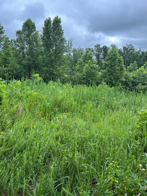 7-460 Prince Edward Hwy, Rice, VA, 23966 | Card Image