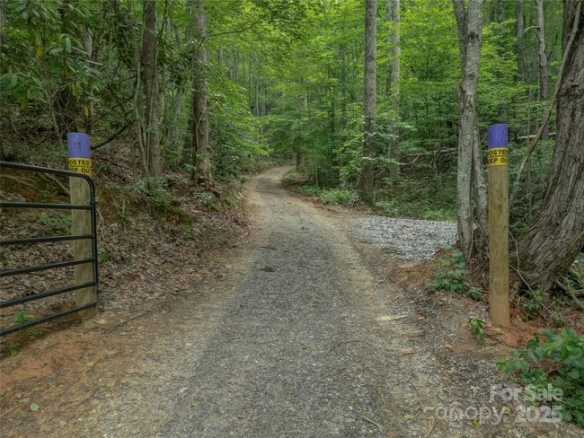 000 White Rock Branch Rd, Home with 0 bedrooms, 0 bathrooms and null parking in Candler NC | Image 16