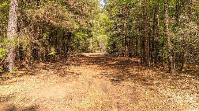 11814 Fm 3226, Home with 0 bedrooms, 0 bathrooms and null parking in Arp TX | Image 8