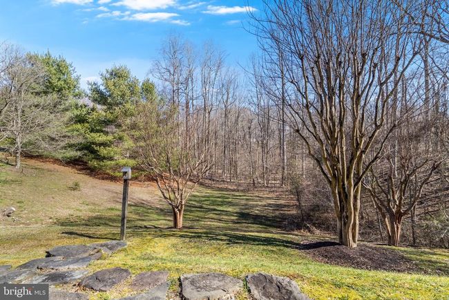 1810 Foggy Bottom Ct, House other with 4 bedrooms, 3 bathrooms and null parking in SUNDERLAND MD | Image 43