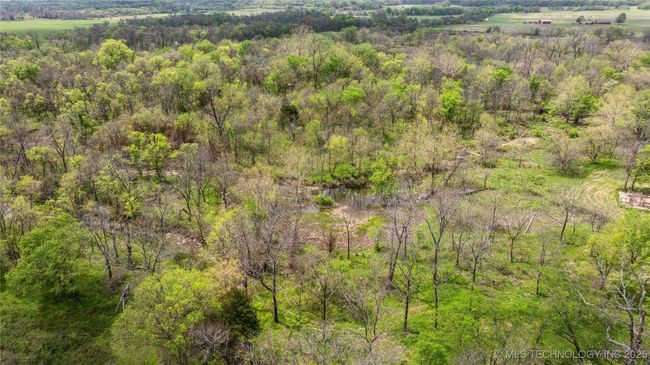 Aerial view of a forest | Image 46