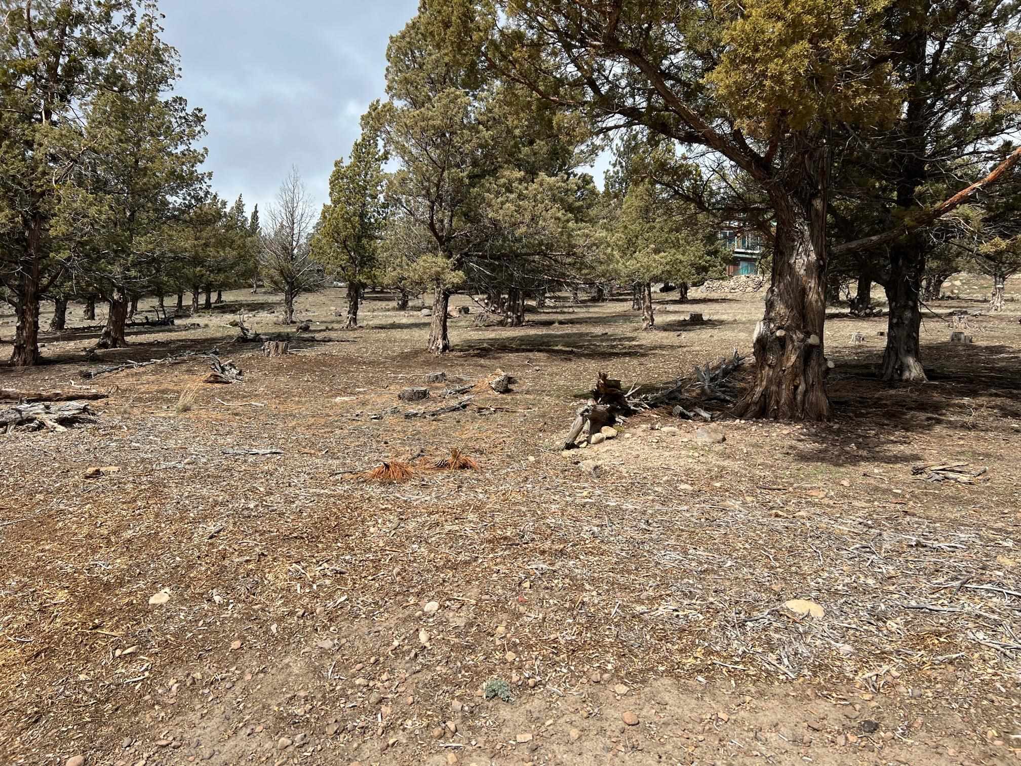 Land in Weed