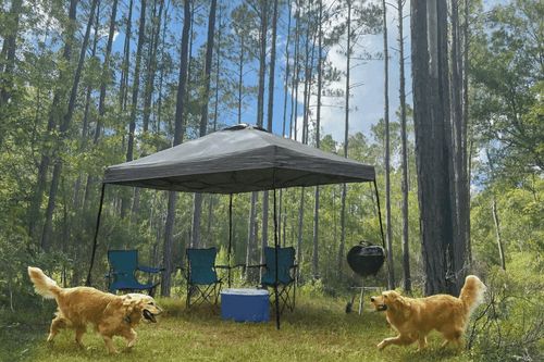 TBD Sw Open Sands Loop, GREENVILLE, FL, 32331 | Card Image