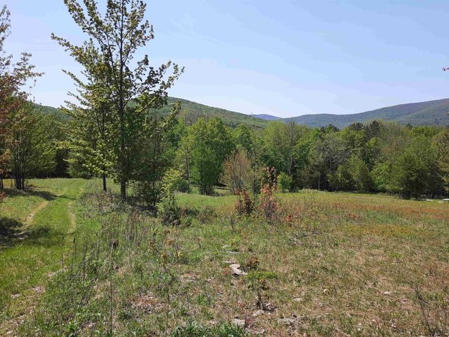 14 - 1214 Armstrong Rd, House other with 7 bedrooms, 4 bathrooms and null parking in Arkville NY | Image 31