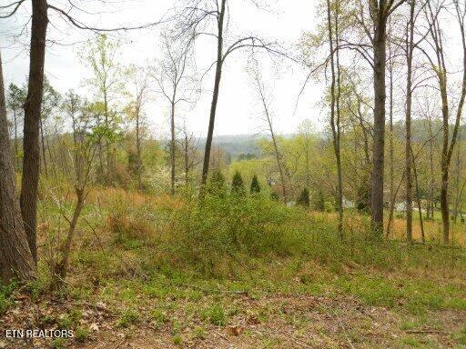 Land in Harriman