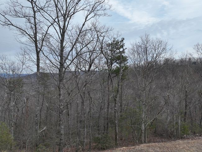 235 Andes Rdg, Home with 0 bedrooms, 0 bathrooms and null parking in Ellijay GA | Image 20
