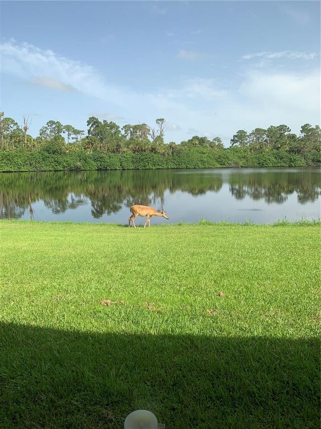 372 Rest Haven Rd, House other with 4 bedrooms, 4 bathrooms and null parking in Geneva FL | Image 59