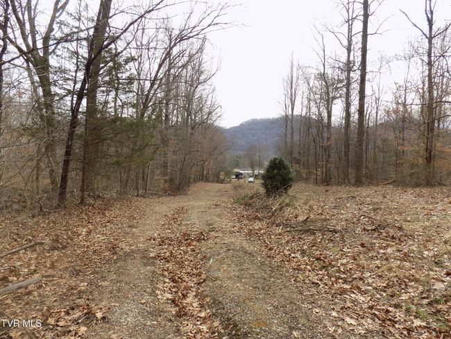 185 Lovin Rd, House other with 4 bedrooms, 2 bathrooms and null parking in Mooresburg TN | Image 49