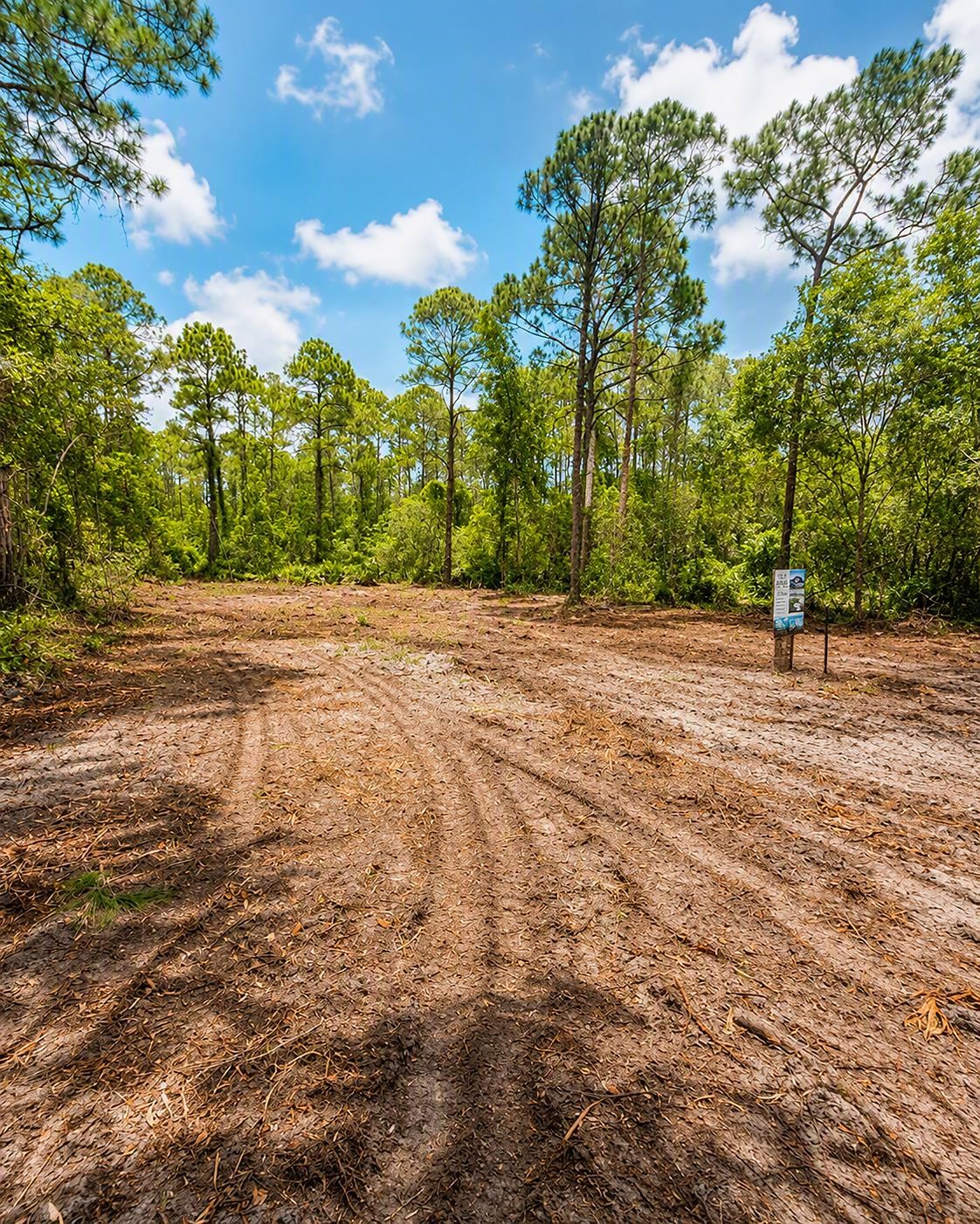 Land in Georgetown 3