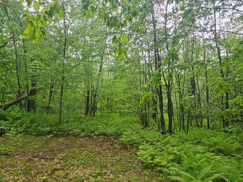 0 Fayette Ridge Road, Fayette, ME, 04349 | Card Image
