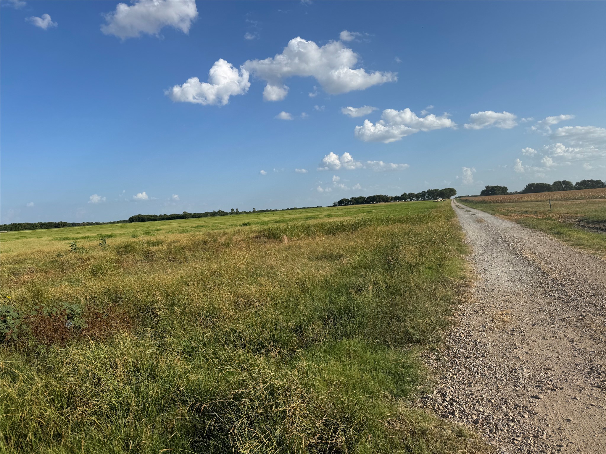 Land in Leonard 5