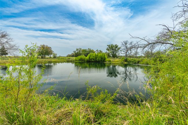 Stocked Pond | Image 34