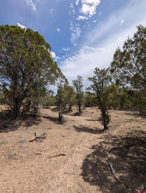 160 Cedar St, Arboles, CO, 81121 | Card Image