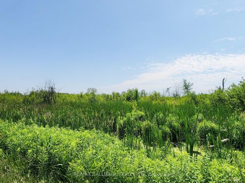 20200 Highway 48, East Gwillimbury, ON, L0G1M0 | Card Image