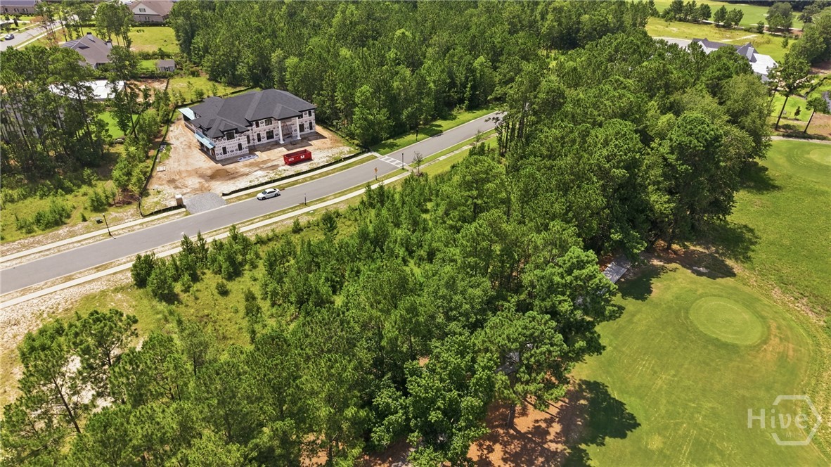 Land in Pooler 3