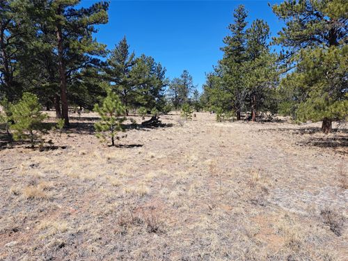 235 Maricopa Trail, Hartsel, CO, 80449 | Card Image