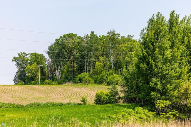 Amdak__Fosston MN - Land_0026.jpg | Image 27