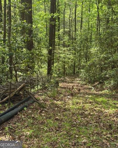 348 Hemlock Trl, Ellijay, GA, 30540 | Card Image