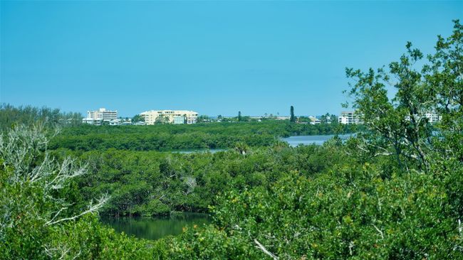 APT-501 - 409 N Point Rd, Condo with 3 bedrooms, 3 bathrooms and null parking in OSPREY FL | Image 37