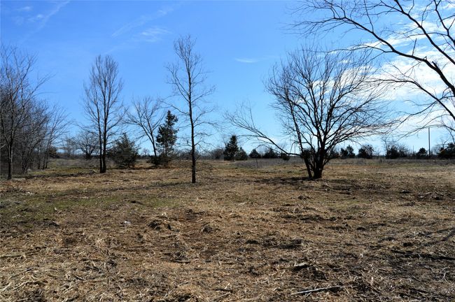 Winter after clearing | Image 35