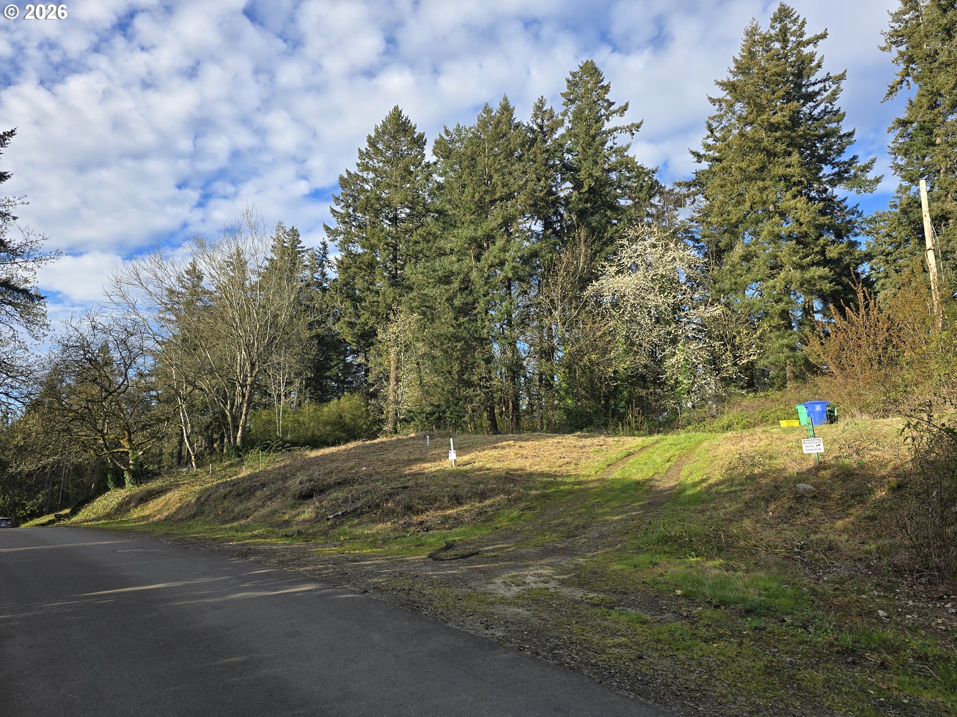 Land in Portland 2