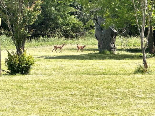 500 Apache Trl, House other with 3 bedrooms, 3 bathrooms and null parking in Comanche TX | Image 39