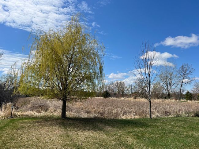 6859 Lily Ln, House other with 5 bedrooms, 5 bathrooms and null parking in Minnetrista MN | Image 70