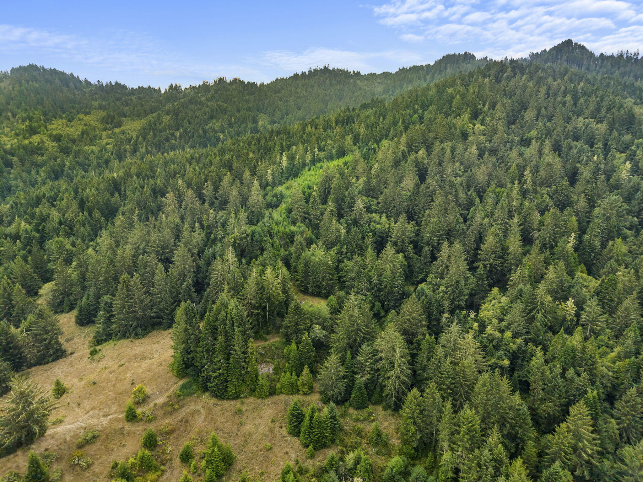 Land in Ferndale 5