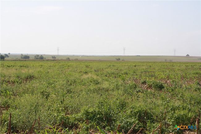 4 - TBD Gooseneck Road, Home with 0 bedrooms, 0 bathrooms and null parking in Bartlett TX | Image 6