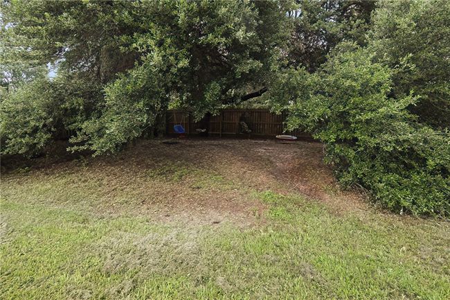 Large tree canopy. | Image 27