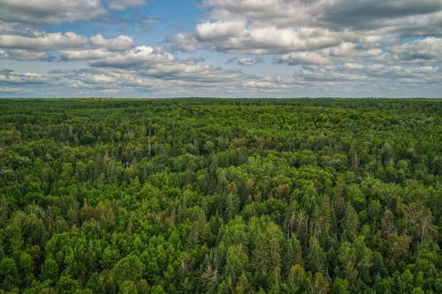 TBD 219th Ave, Bemidji, MN, 56601 | Card Image