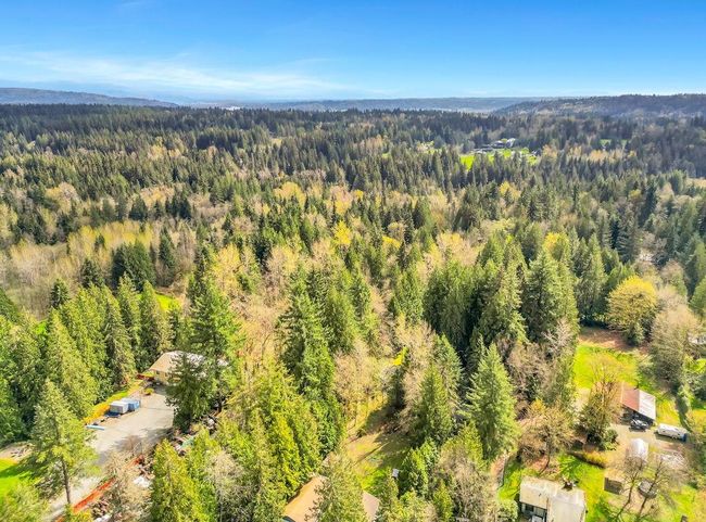 Drone / aerial view featuring a view of trees | Image 5