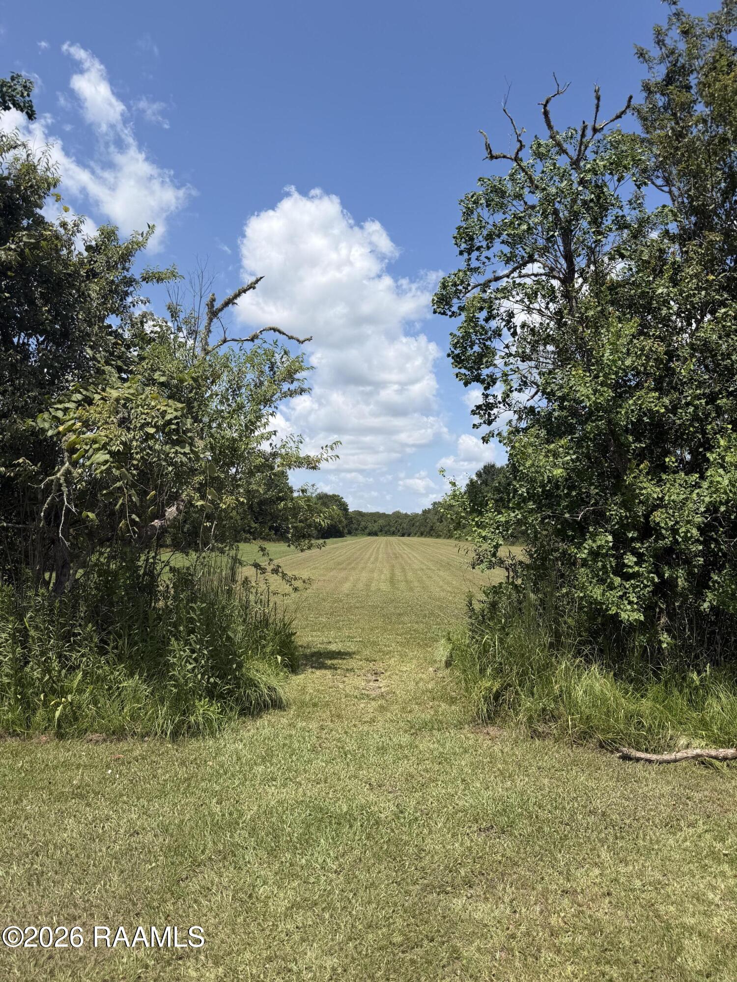 Land in St. Martinville 4