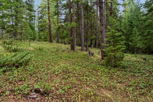 NHN Bear Trap Road, Rexford, MT, 59930 | Card Image