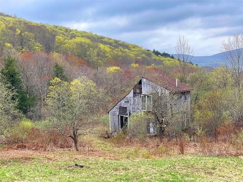 183 Haynes Hollow Road, Hardenburgh, NY, 12406 | Card Image