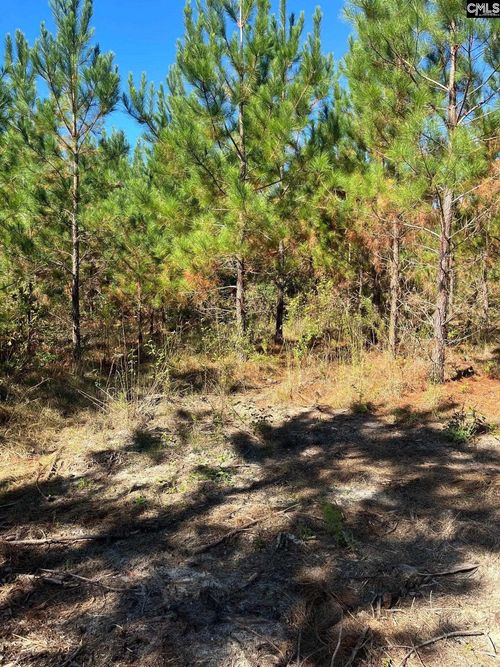 BFF 1E Brunson Teal Road, Patrick, SC, 29584 | Card Image