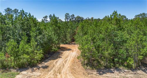Lot A Ten Mile Road, Pitkin, LA, 70656 | Card Image