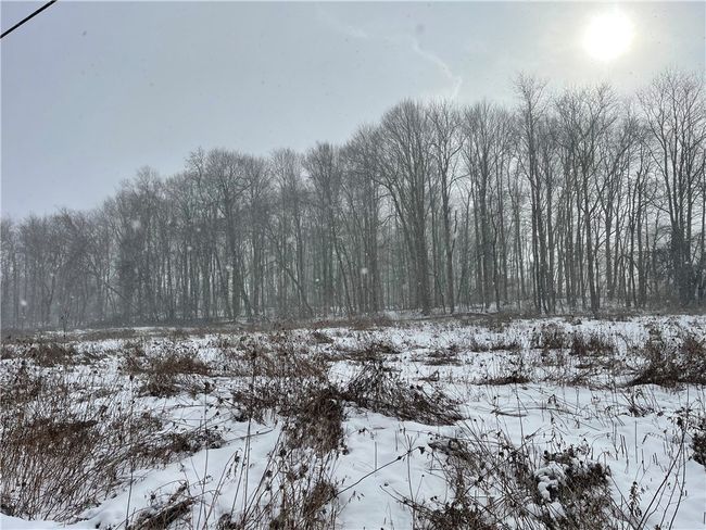 Along Creek Road | Image 13
