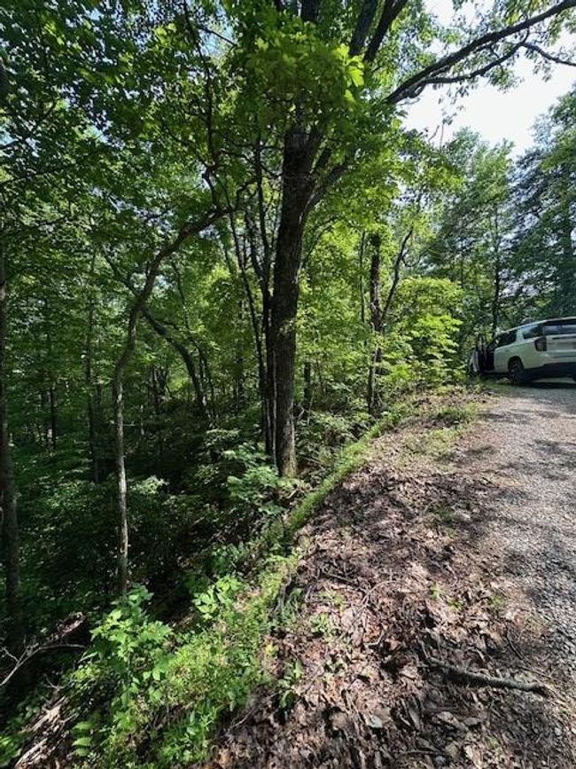 16 Ac Campbell Cove Creek Rd, Home with 0 bedrooms, 0 bathrooms and null parking in Turtletown TN | Image 4