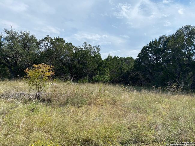 296 Recreation Ln, Home with 0 bedrooms, 0 bathrooms and null parking in Spring Branch TX | Image 4