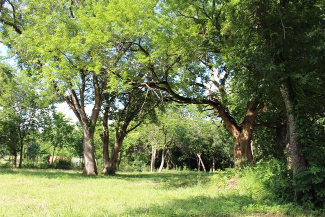 View of nature | Image 4