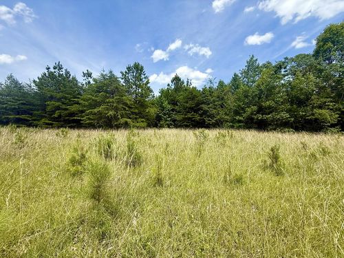 25-25 Whispering Wood Rd, Meherrin, VA, 23954 | Card Image