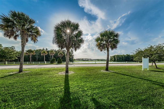 1236 Ketzal Dr, House other with 5 bedrooms, 3 bathrooms and null parking in TRINITY FL | Image 46