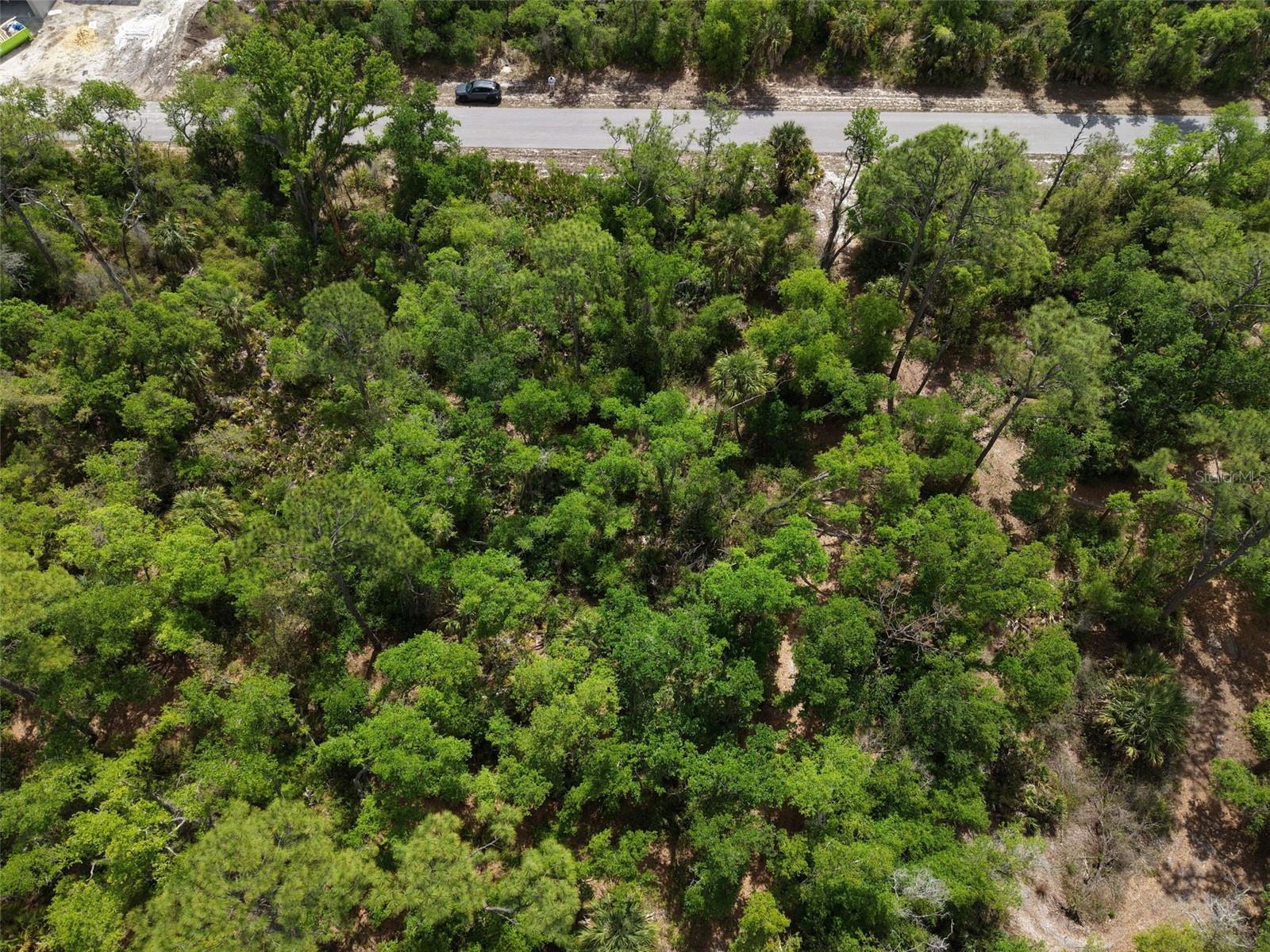 Land in PORT CHARLOTTE 4