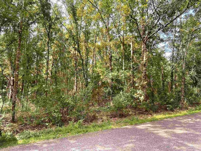 0 Corral Rd, Home with 0 bedrooms, 0 bathrooms and null parking in Milton FL | Image 6