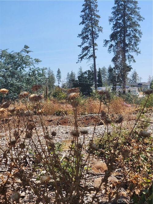 420 Simpson Ranch Rd, Berry Creek, CA, 95916 | Card Image