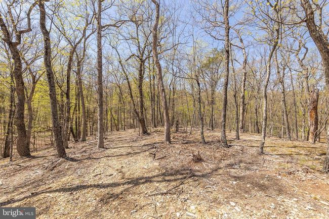 275 Oak Forest Ln, House other with 2 bedrooms, 2 bathrooms and null parking in BERKELEY SPRINGS WV | Image 34
