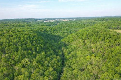 20 Acres, Pottsville, AR, 72858 | Card Image
