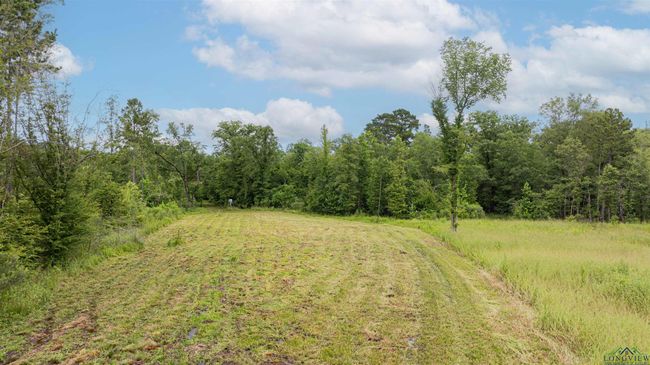 1557 Driskell Bridge Rd, House other with 5 bedrooms, 3 bathrooms and null parking in Harleton TX | Image 46